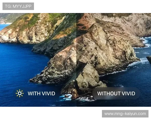 HDR vivid技术普及，提升终端画面色彩表现力。
